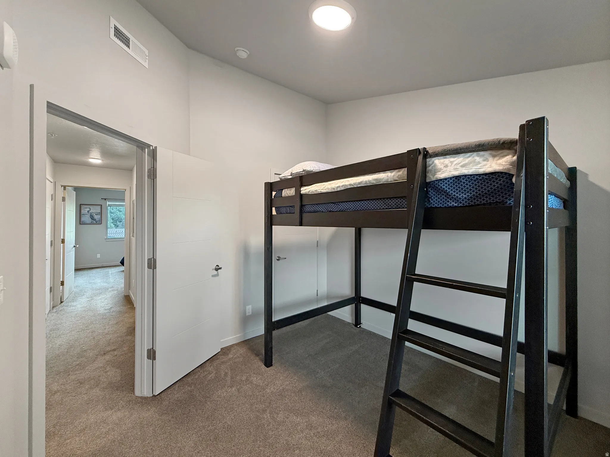 Recessed ceiling lighting, carpeted flooring, and a flat-panel door