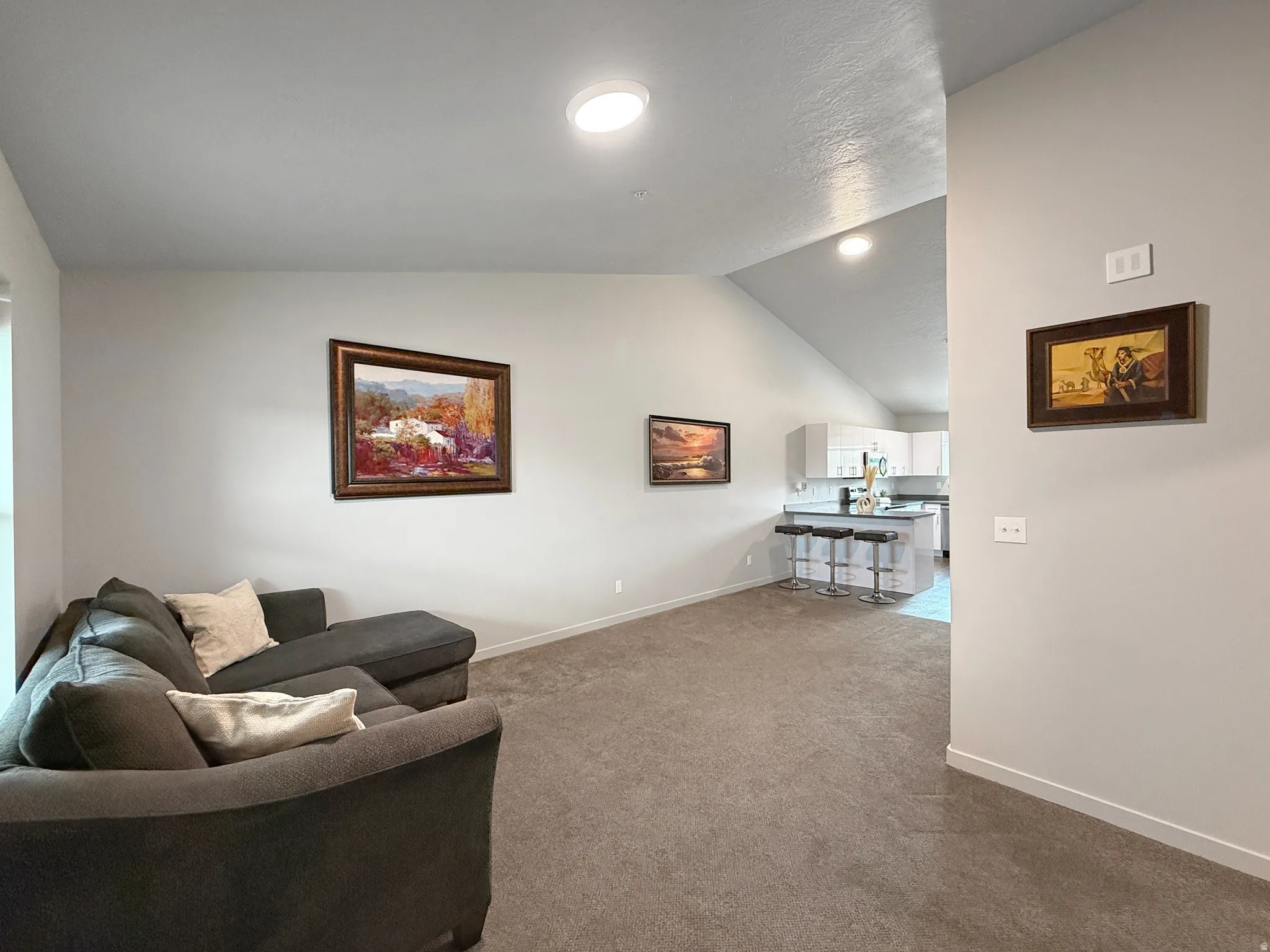 Vaulted ceiling, recessed lighting, and soft gray carpeting