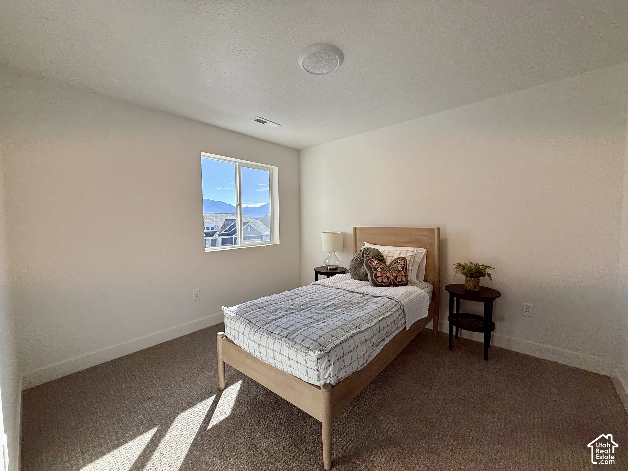Neutral-toned interior space featuring textured wall-to-wall carpeting, a single-pane sliding window, and a ceiling-mounted flush light fixture, highlighted by mountainous scenery