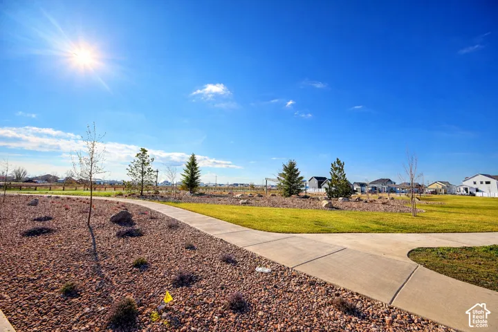Newly developed lot featuring expansive green space, concrete walkway, and young landscaping including evergreen and deciduous trees