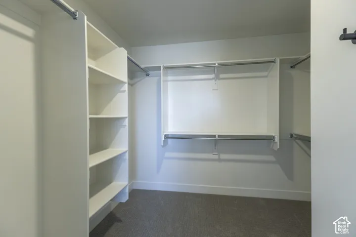 Built-in shelving, multiple hanging rods, and plush carpeting