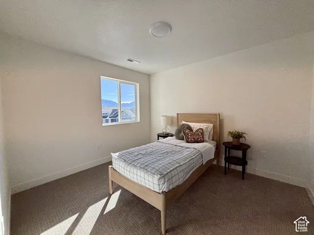Neutral-toned interior space featuring textured wall-to-wall carpeting, a single-pane sliding window, and a ceiling-mounted flush light fixture, highlighted by mountainous scenery