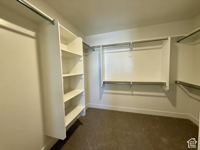 Walk-in closet featuring white built-in shelving, multiple tiers of metal hanging rods, and neutral carpeting