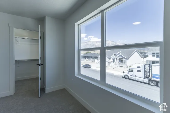 Recessed closet with built-in shelving, white walls, and carpet flooring