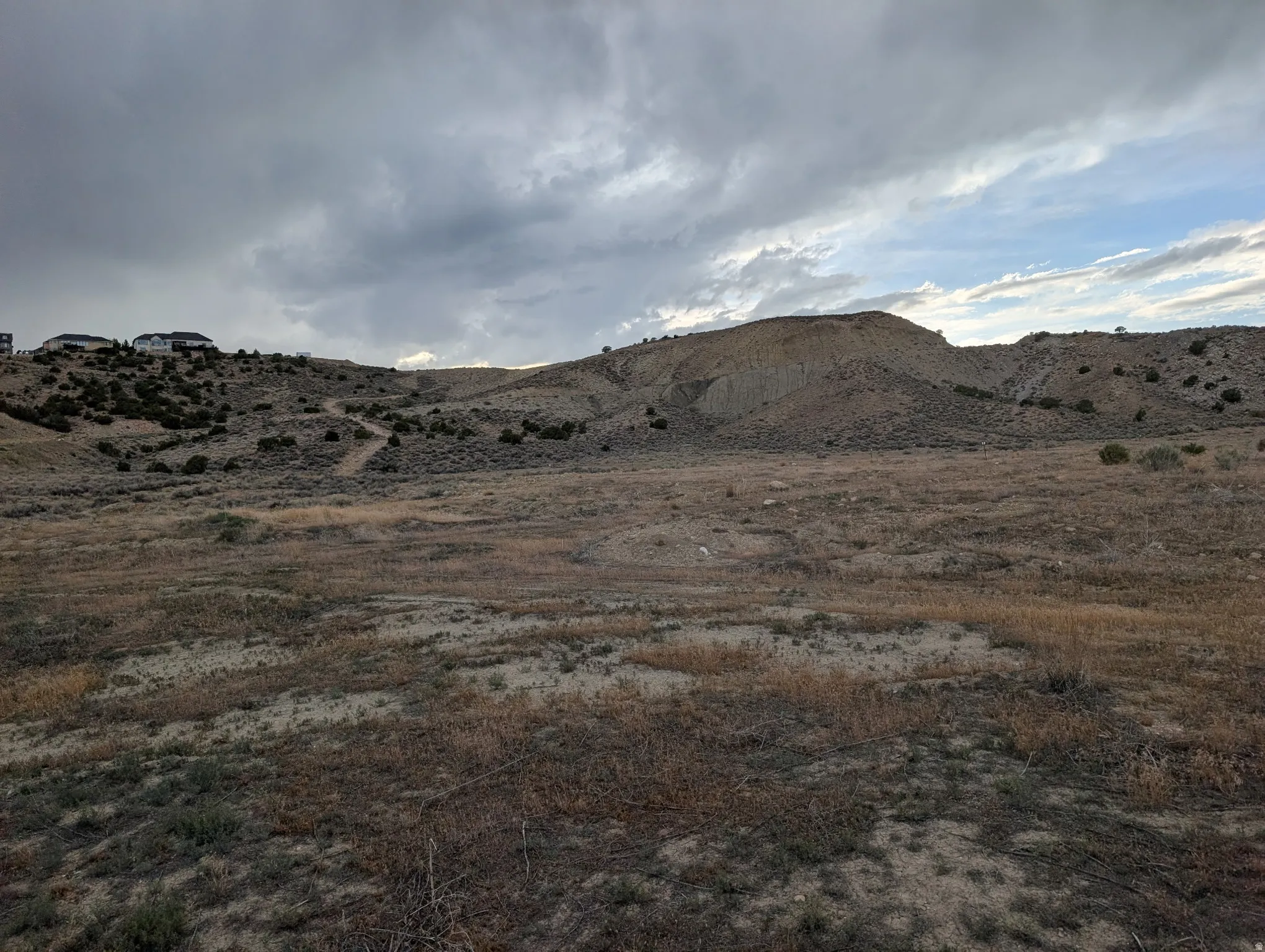 Expansive open terrain featuring natural vegetation