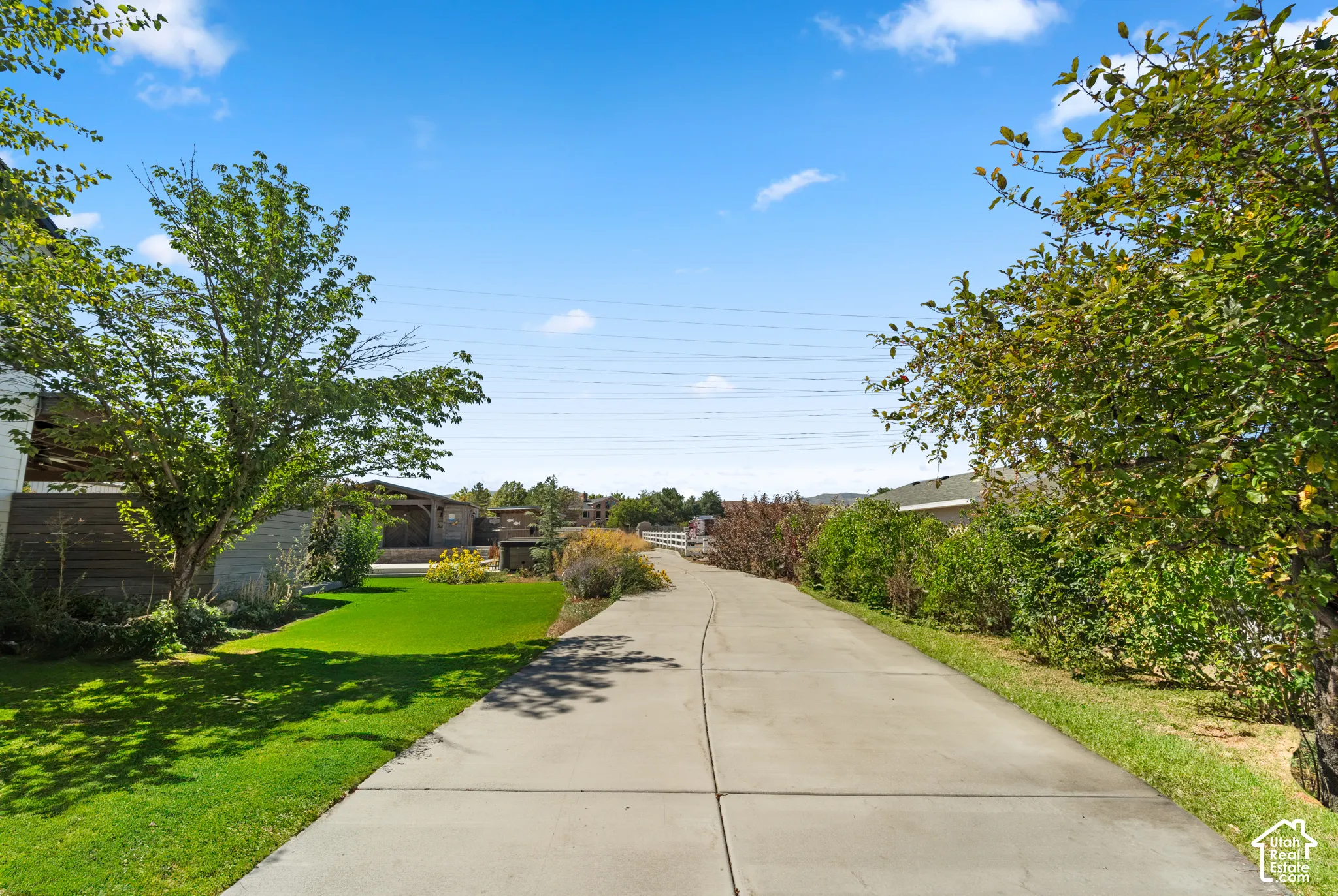 Concrete driveway framed by mature trees, manicured lawns, and established landscaping