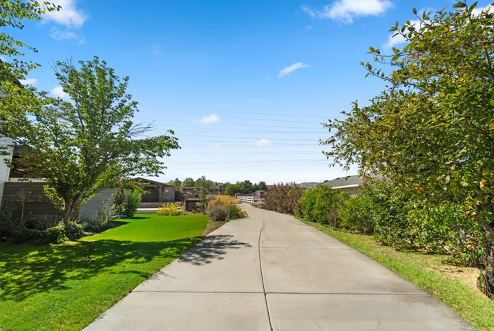 Concrete driveway framed by mature trees, manicured lawns, and established landscaping
