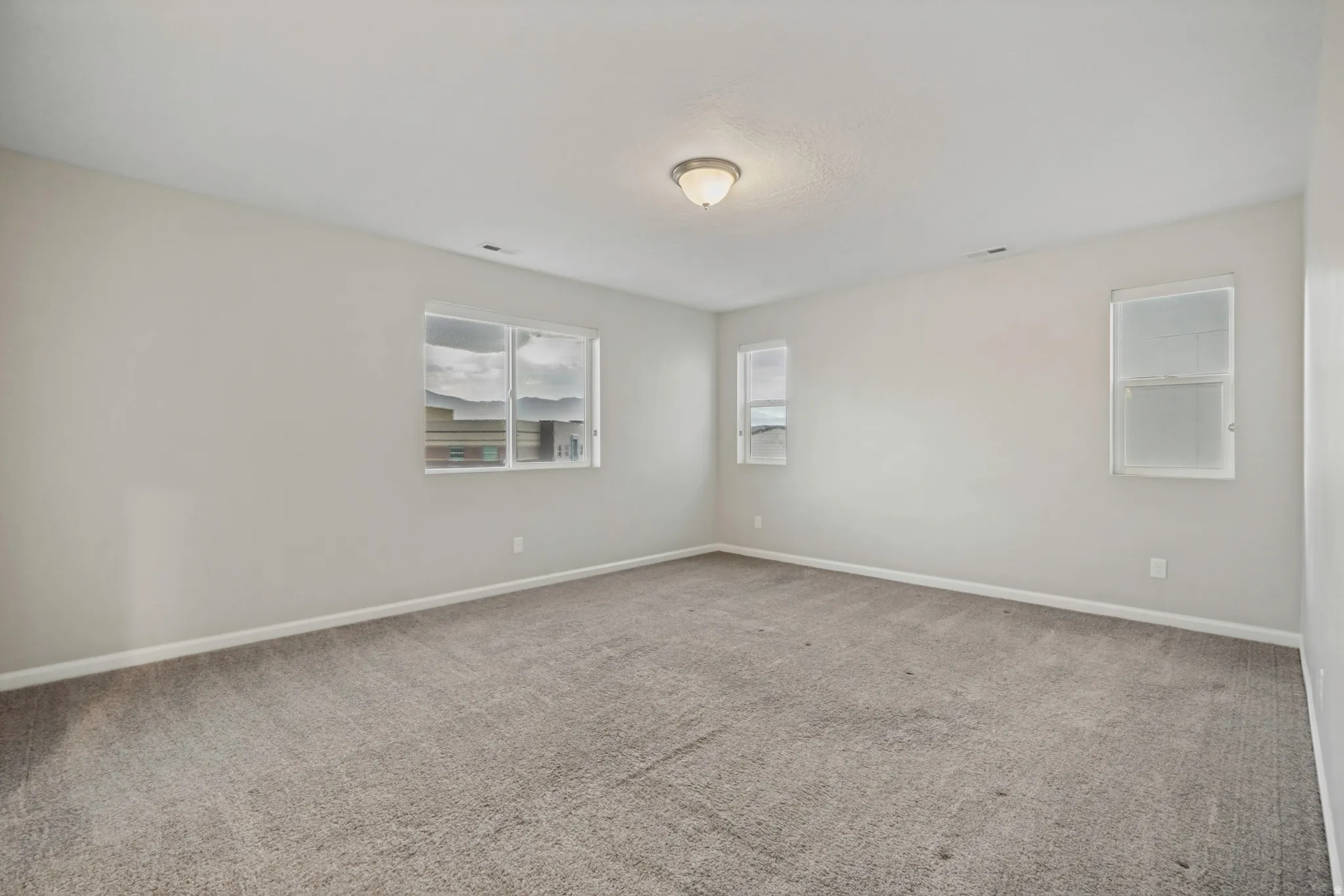 Spacious room featuring neutral carpeting, multiple windows for ample natural light, light-colored walls, and a ceiling-mounted light fixture