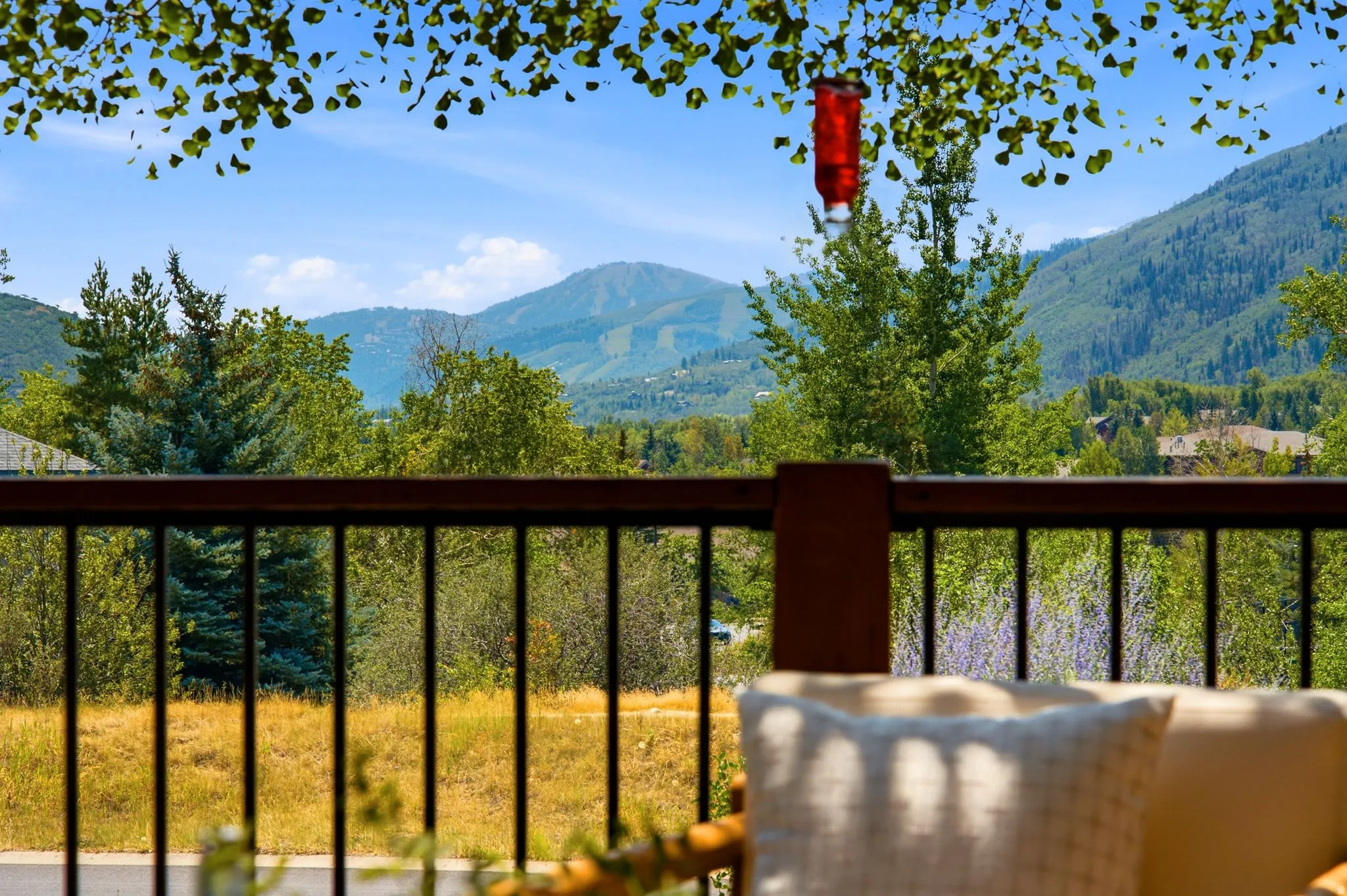 Front deck views