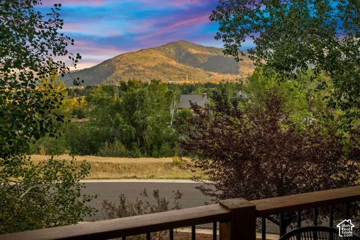View from the front deck