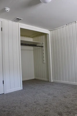 Textured carpeting, vertical paneling, and an integrated closet with shelving and a clothing rod