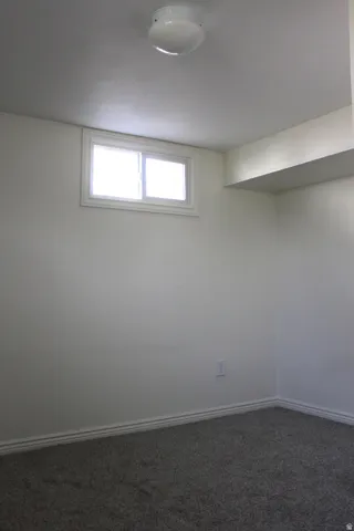 White walls, flush-mount ceiling light, white window trim, and gray carpeting