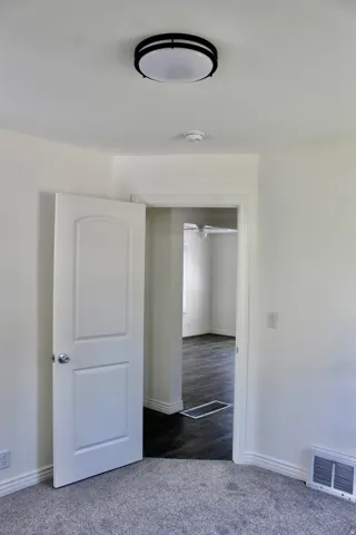 Flush-mount ceiling light fixture, white interior door, light gray carpet, and dark wood-finish flooring