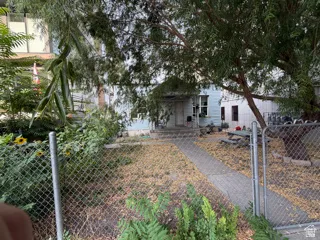 Chain link fencing enclosing a mature tree and a concrete pathway