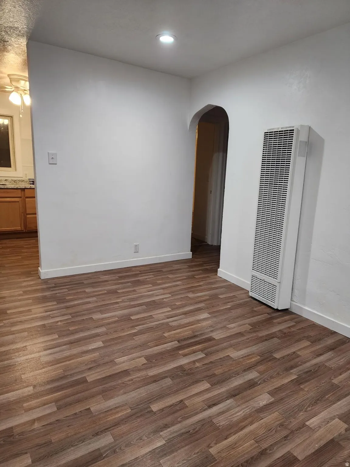 Wood-finish flooring, white walls, recessed ceiling lighting, and an arched doorway