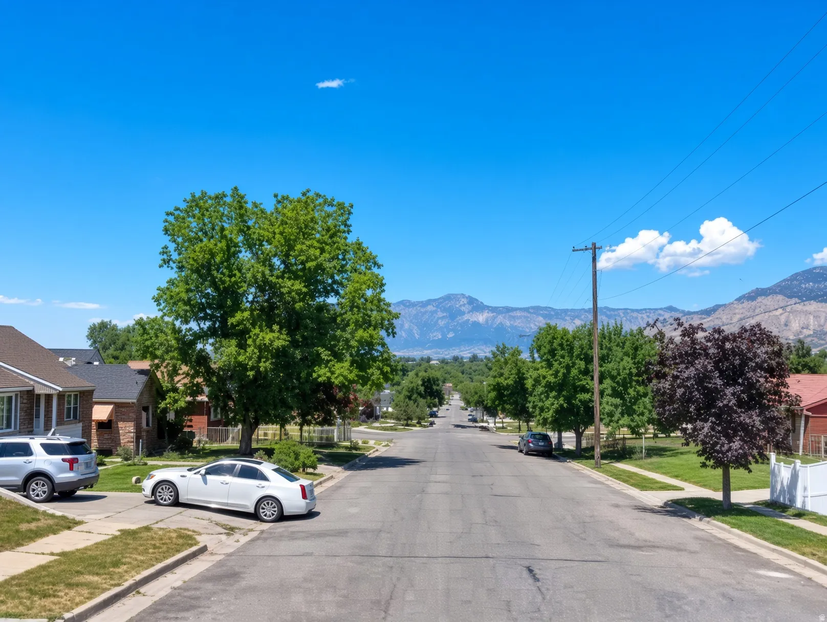 Residential street with paved road, concrete sidewalks, and mature trees