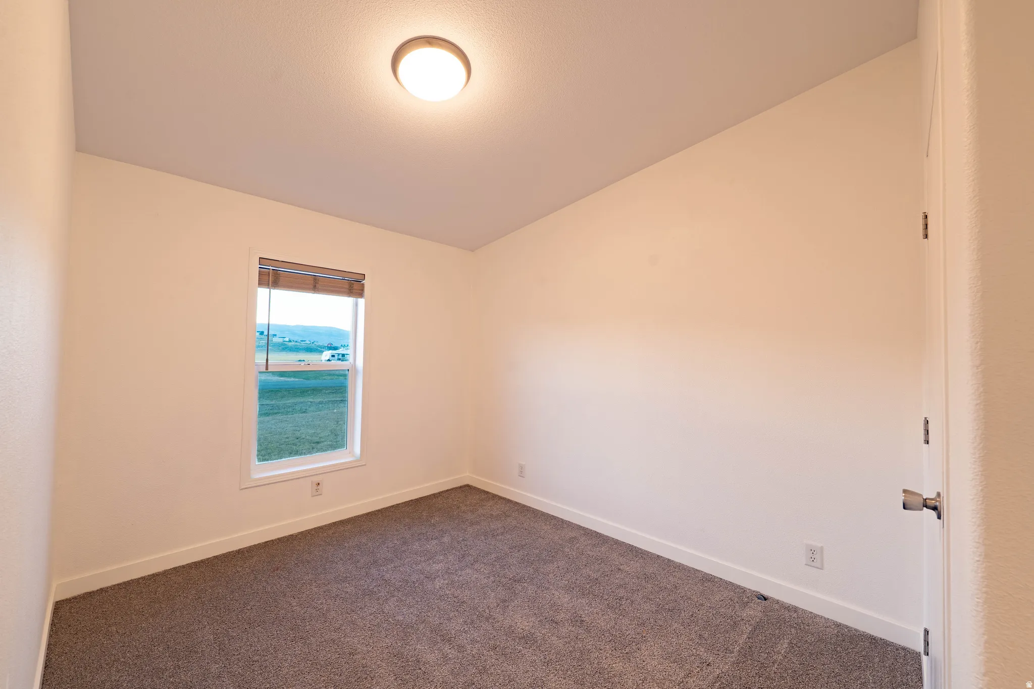 Neutral wall tones with a single window, overhead flush-mount lighting, and carpet flooring