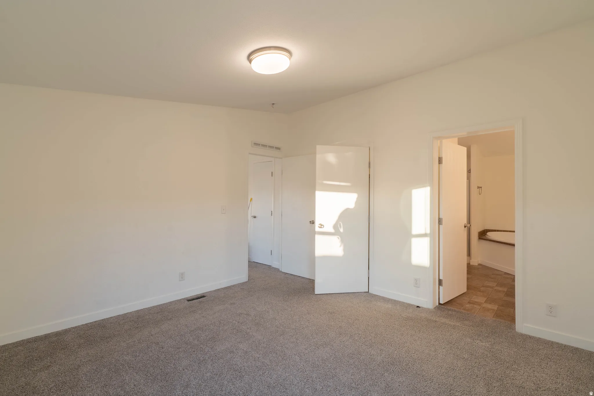 Plush carpeting, neutral wall colors, flush-mount ceiling light fixture, and white trim