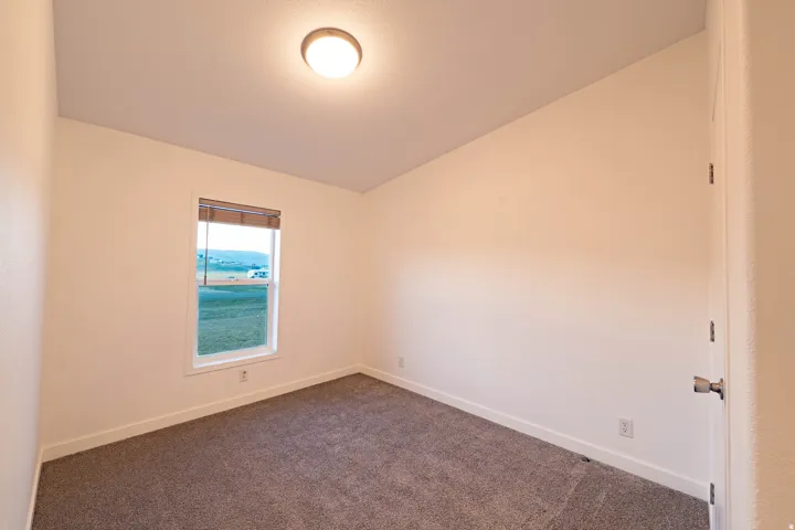 Neutral wall tones with a single window, overhead flush-mount lighting, and carpet flooring