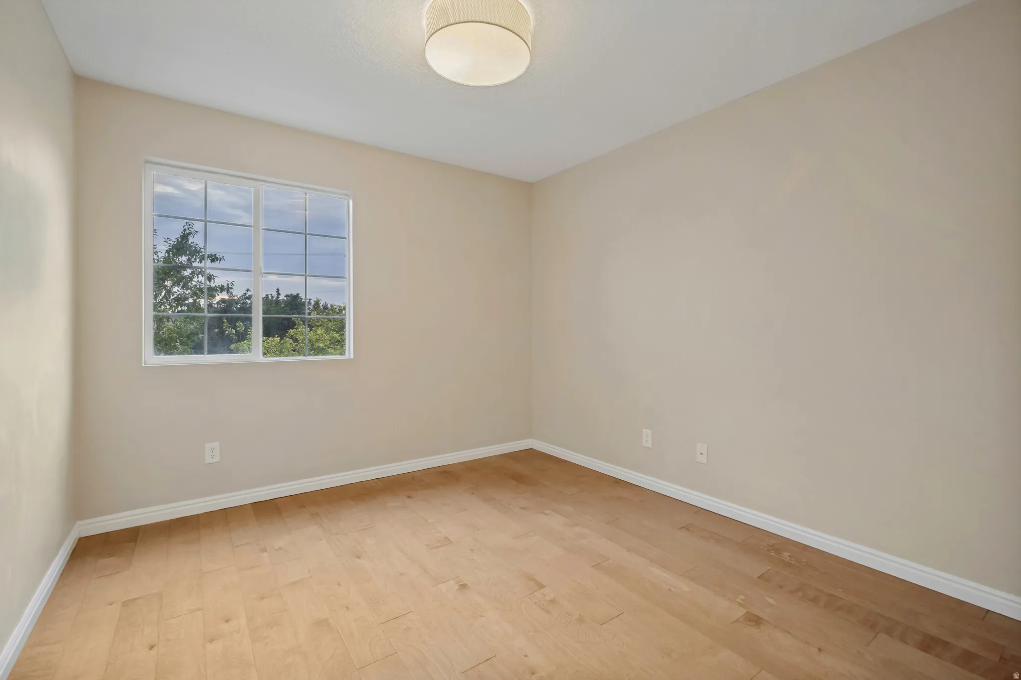 Light wood-finish flooring, neutral wall paint, and a white-framed window