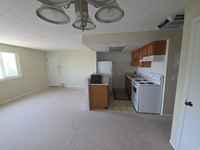 Ceiling-mounted light fixture, window with natural light, light-toned carpeting, wood-finish cabinetry, and white appliances