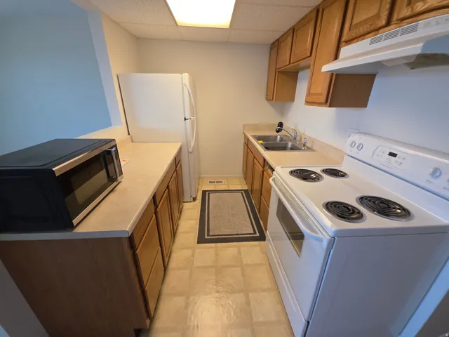 Wood-finish cabinetry paired with light countertops, a double-basin stainless steel sink, and a white electric range with an overhead vent