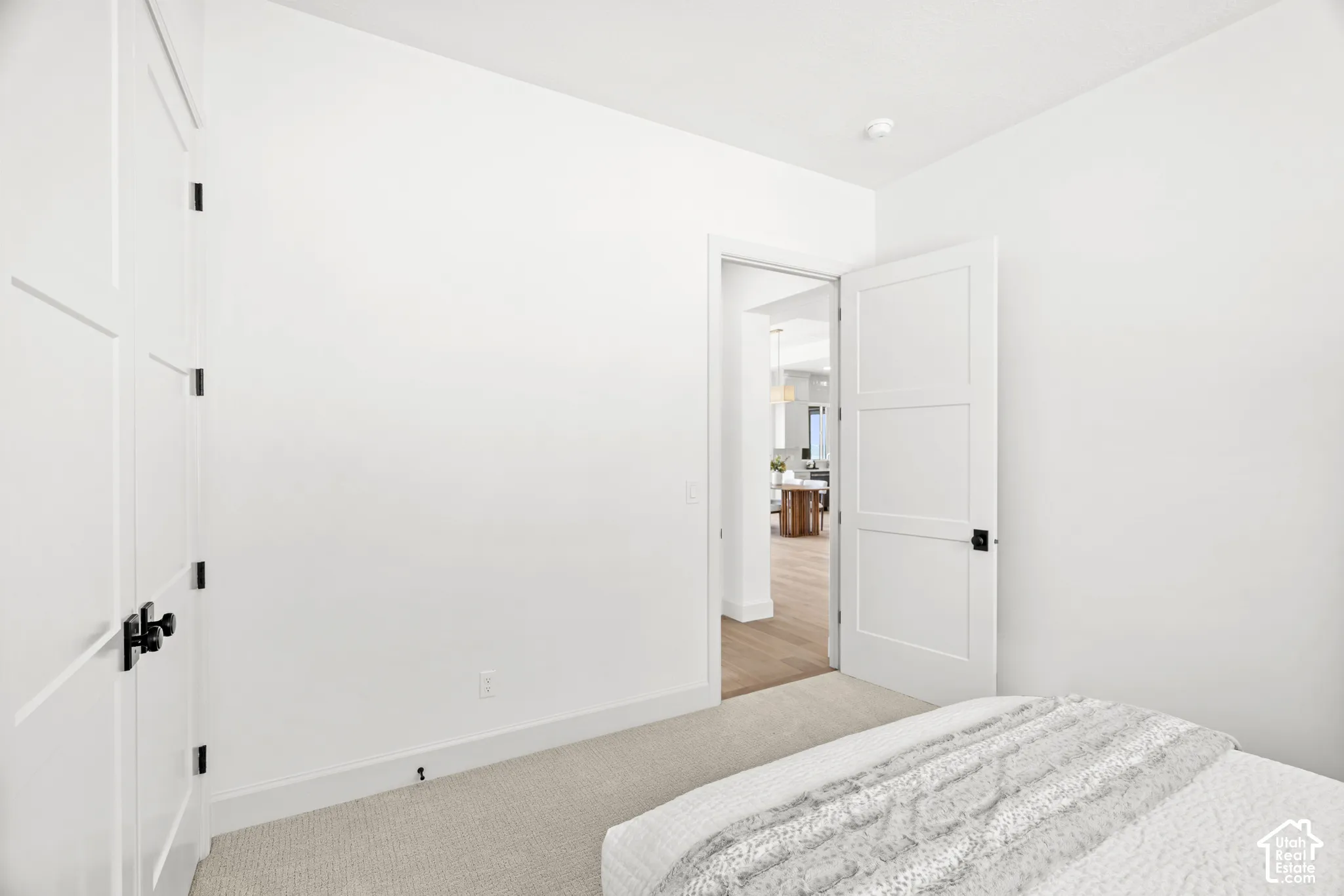 White paneled doors with matte black hardware, light-colored carpet, and recessed lighting