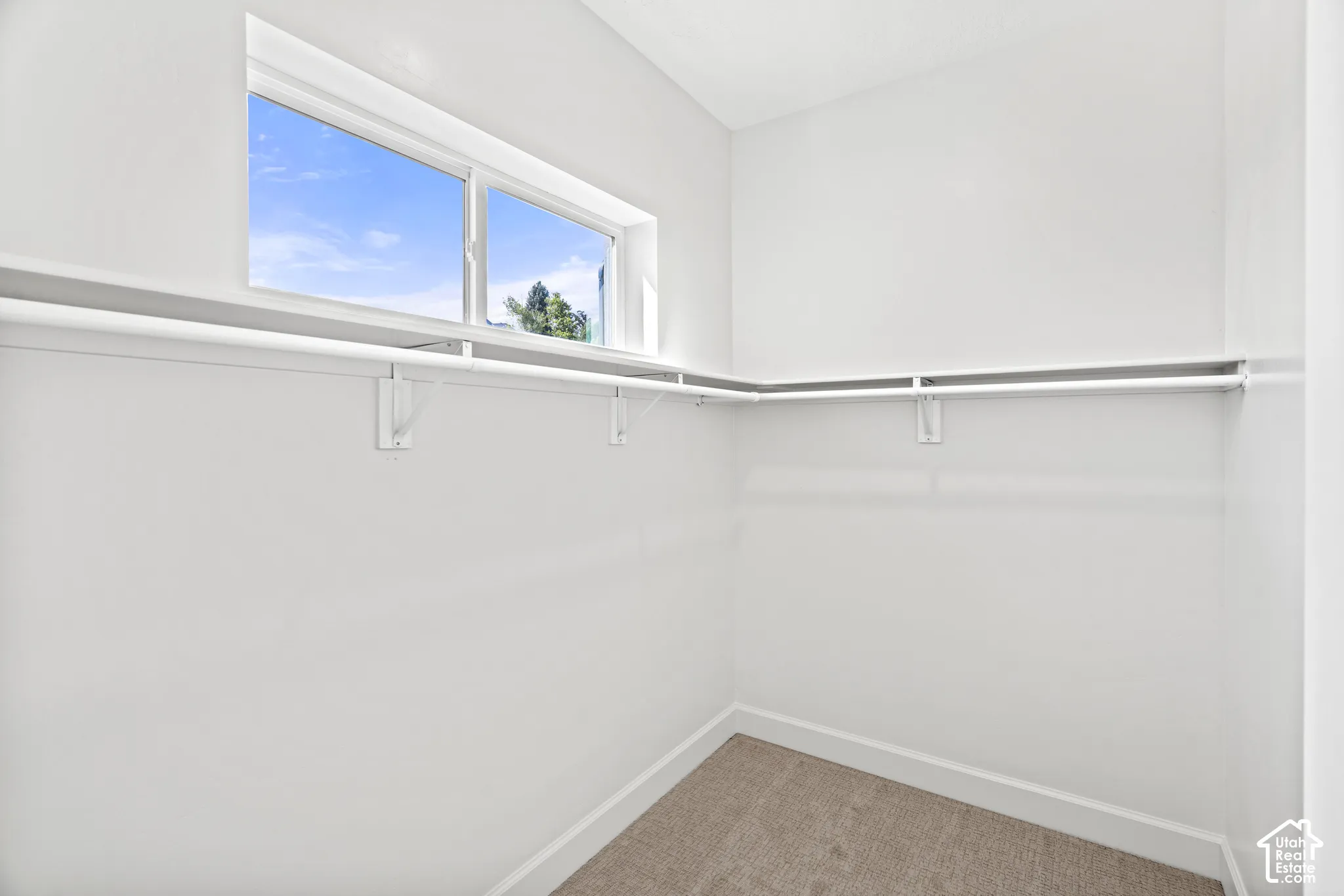 Windowed walk-in closet featuring white walls, white trim, and a carpeted floor