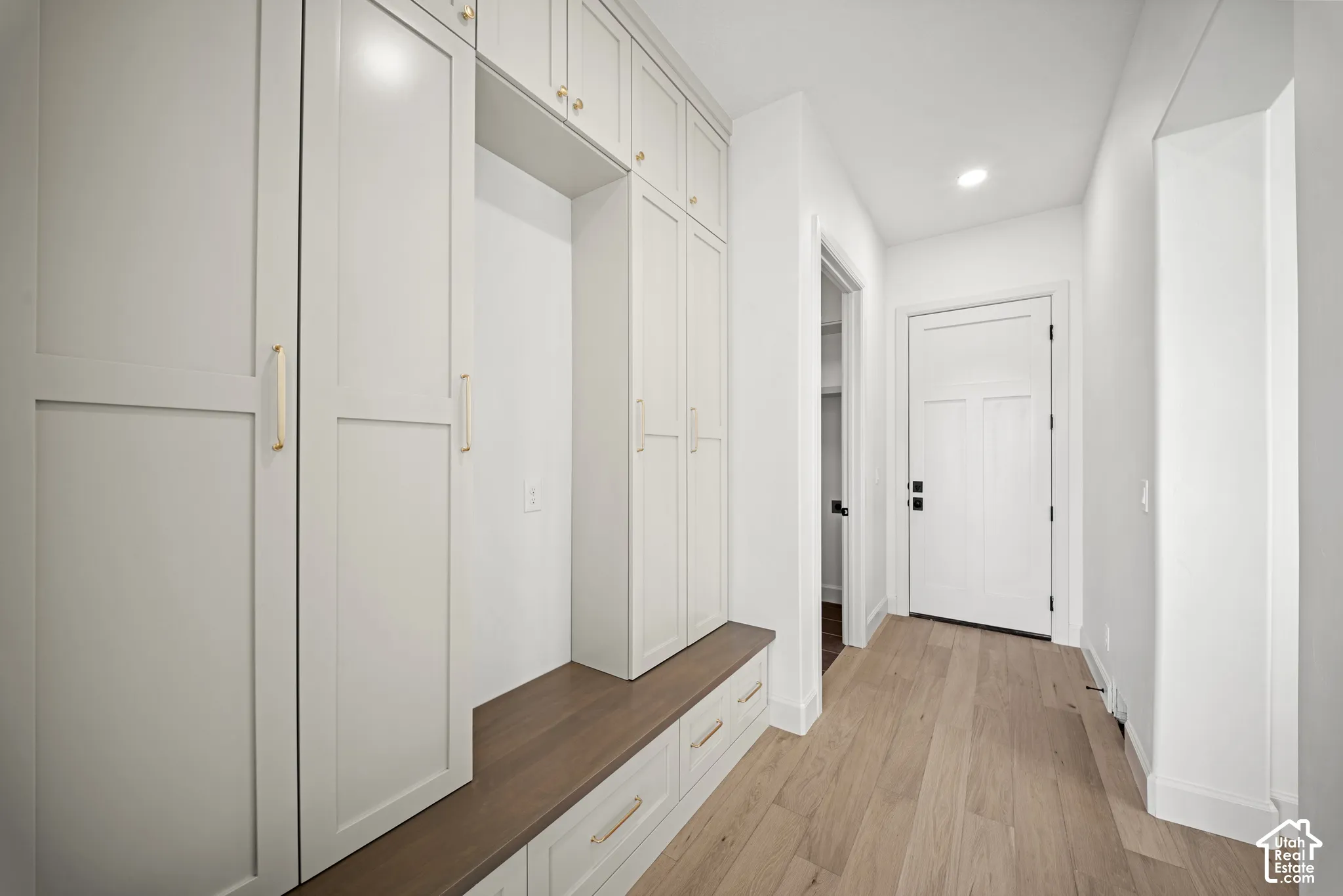 Integrated built-in cabinetry with gold-tone hardware, wood-finish flooring, recessed lighting, and a paneled entry door