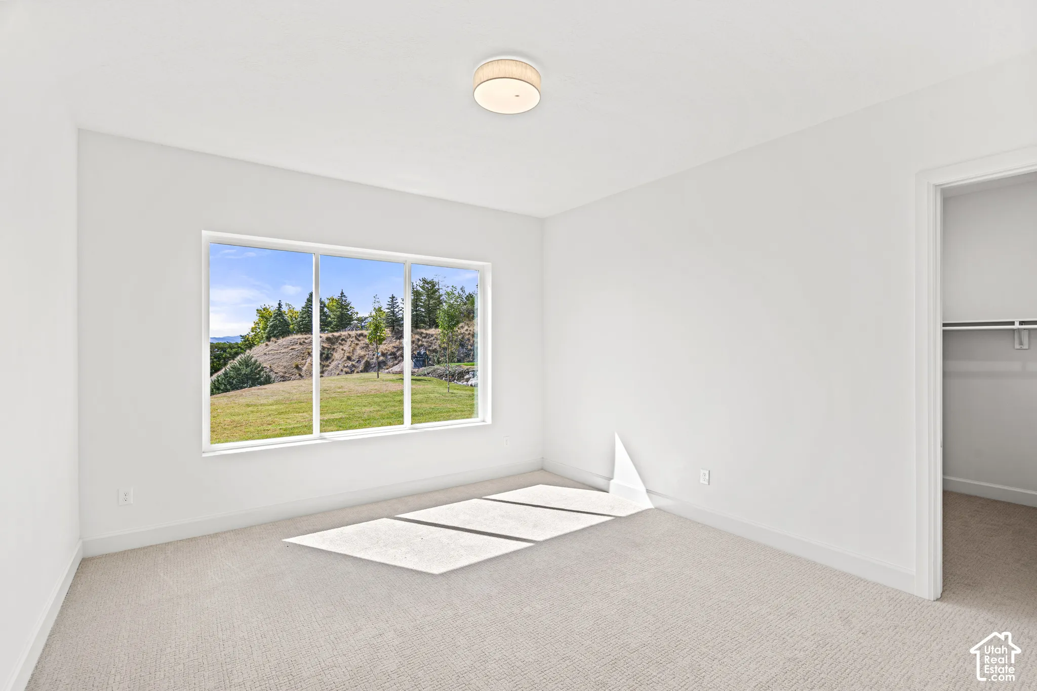 Bright interior room with plush carpeting, a large window, and a built-in closet