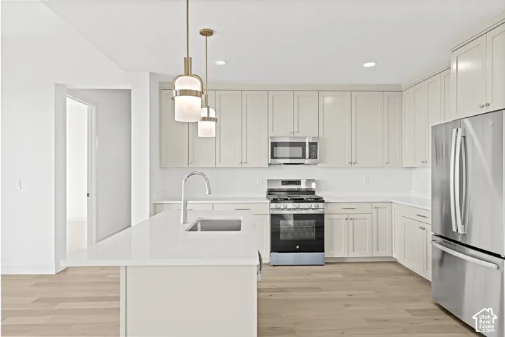 Modern kitchen featuring stainless steel appliances, light-toned cabinetry, a spacious island with an undermount sink, pendant lighting, and wood-finish flooring