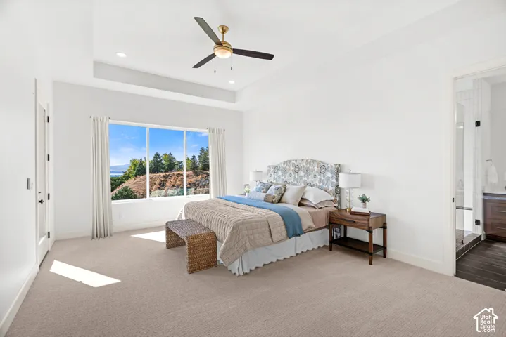 Tray ceiling with recessed lighting and a ceiling fan