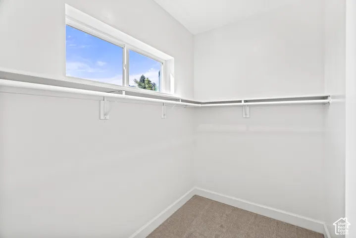 Windowed walk-in closet featuring white walls, white trim, and a carpeted floor