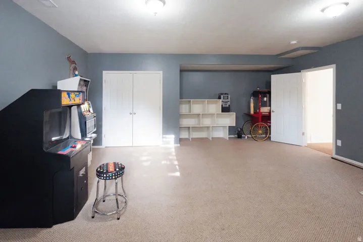 Spacious room with plush carpeting, built-in shelving, two interior doors, and a ceiling-mounted light fixture