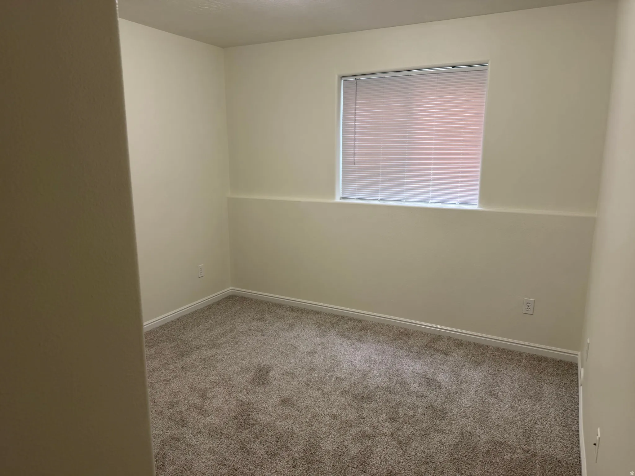 Neutral wall colors, textured carpet, window with blinds, and white trim