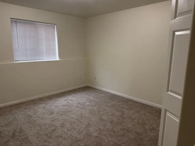 Neutral wall color, carpet flooring, window with blinds, white trim, and a paneled door