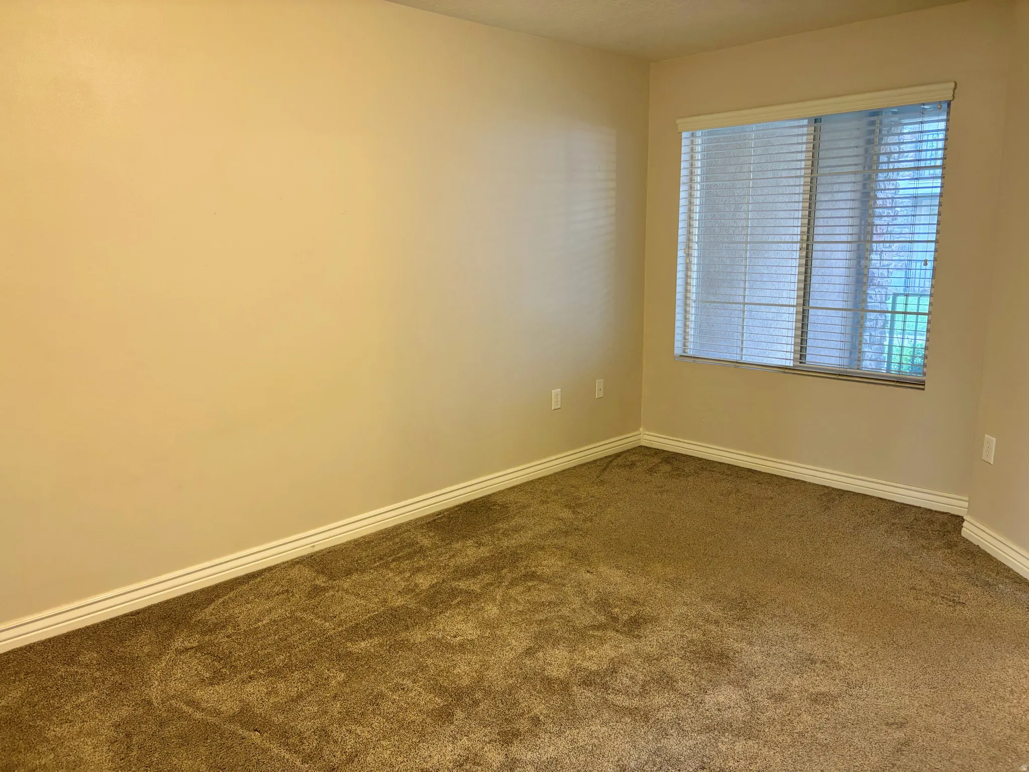 Neutral wall paint, textured carpet, window with horizontal blinds, and white trim
