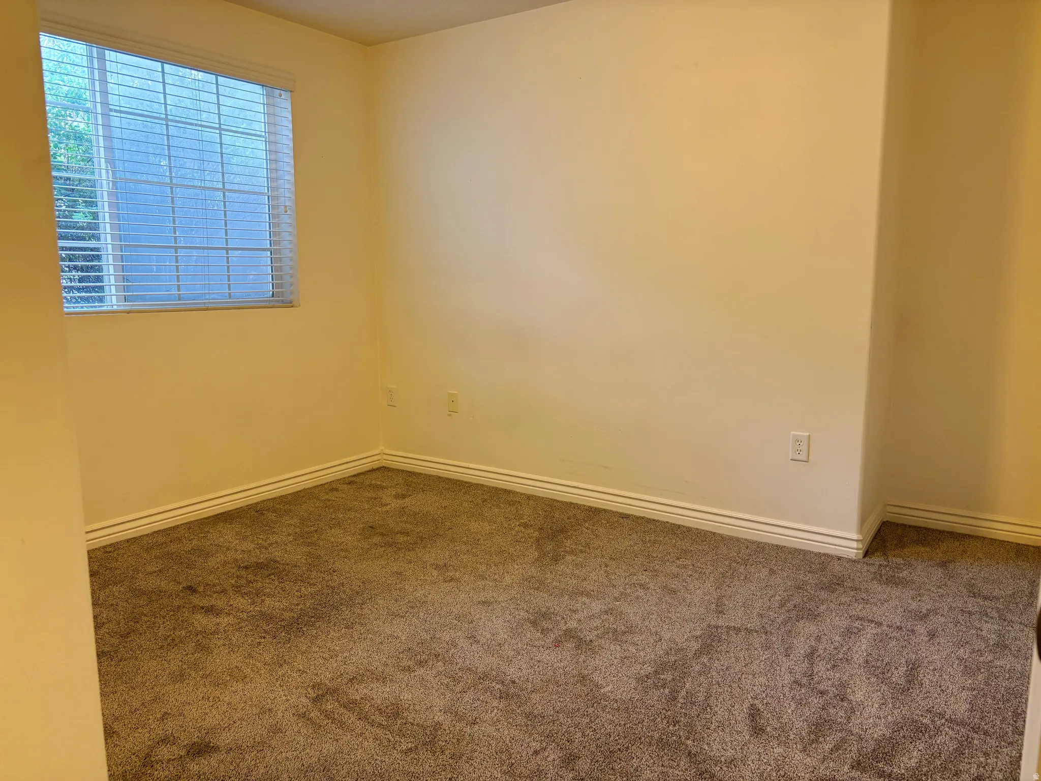 Window with horizontal blinds, neutral wall paint, and plush carpet flooring