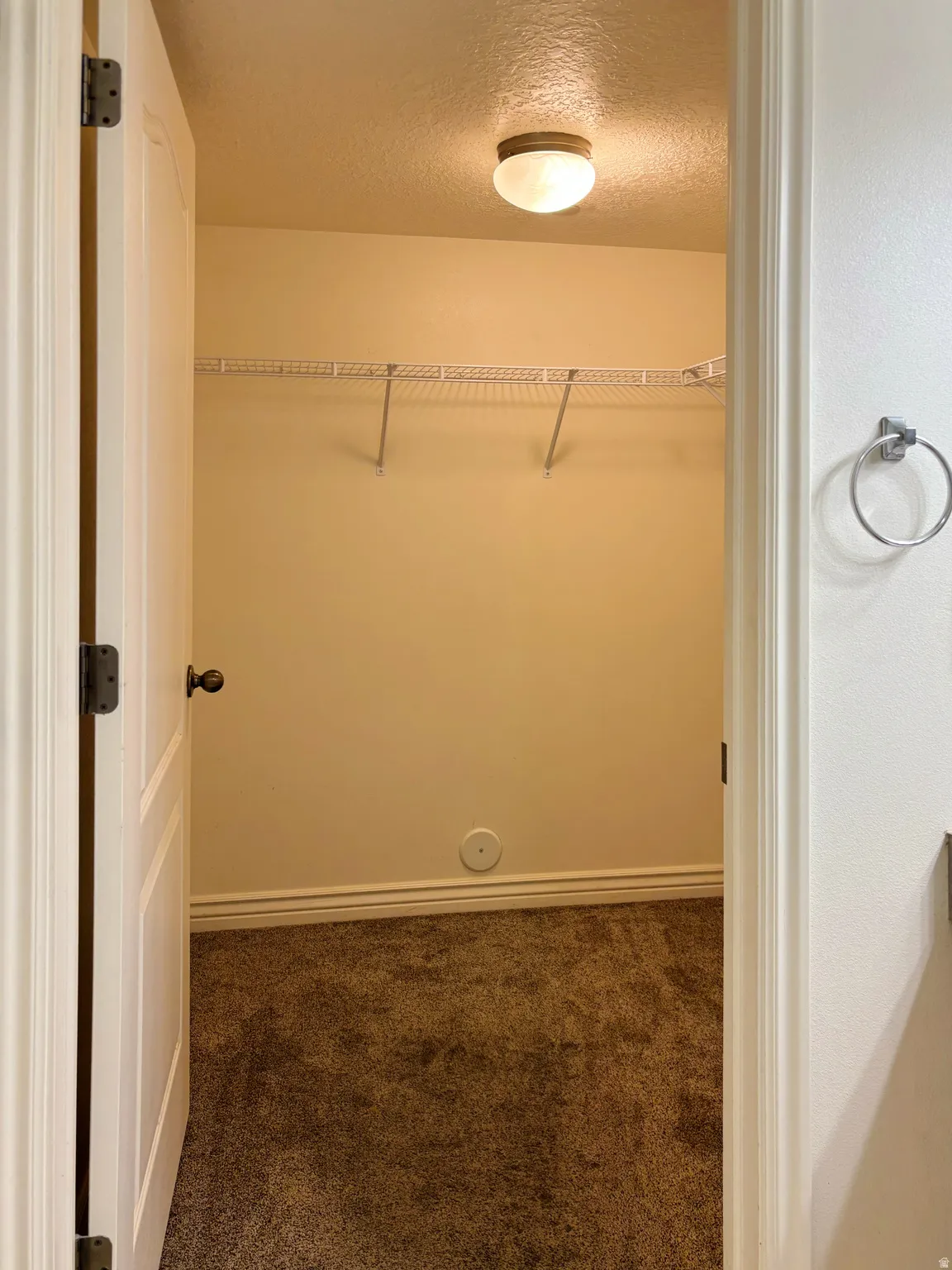 Built-in wire shelving, overhead flush-mount lighting, and neutral carpeting
