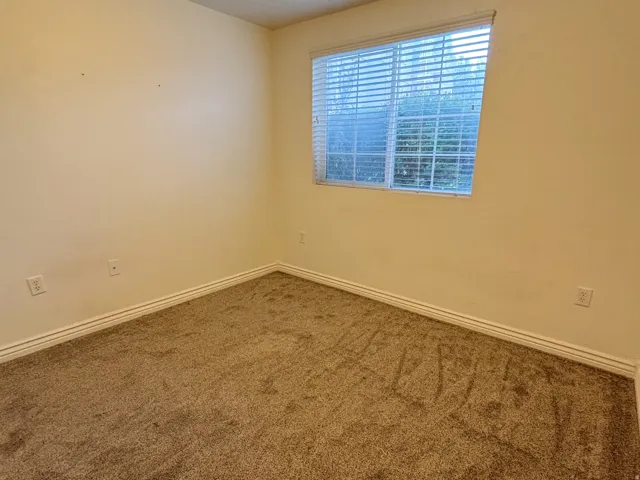 Wall-to-wall carpeting with light-toned walls and a window with blinds