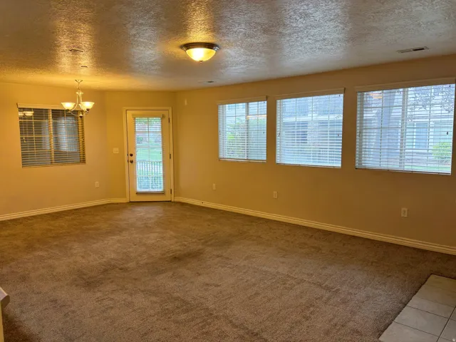Expansive carpeted area featuring multiple windows with blinds, a glass-paned door, and overhead lighting fixtures