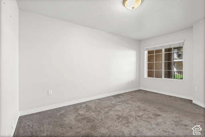 Light gray wall paint, gray carpeting, white trim, and a ceiling-mounted light fixture