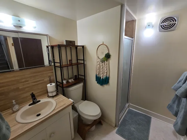 Walk-in shower with a frosted glass door, vanity with a wood-finish countertop and integrated sink, and an overhead vanity light fixture