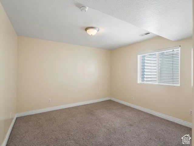 Neutral-toned wall finish, carpeted flooring, and a flush-mount ceiling light