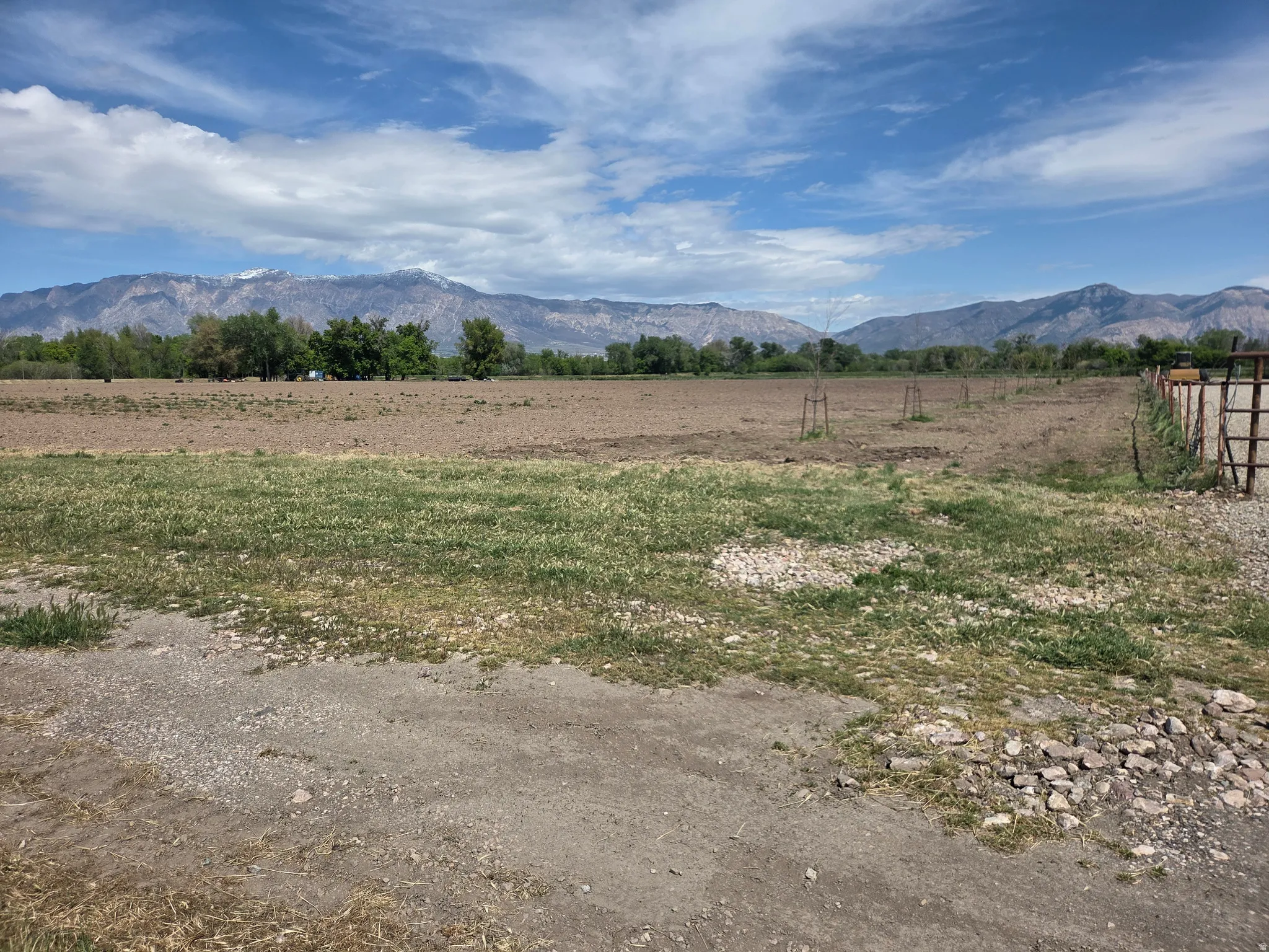 Expansive open lot with distant mountains and established trees