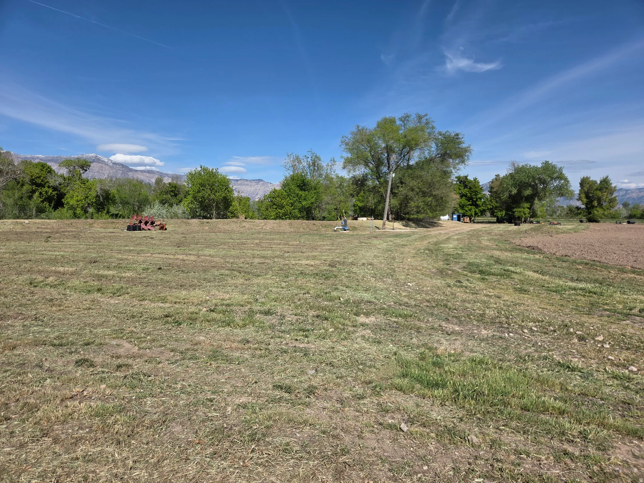 Expansive undeveloped lot with natural ground cover, mature trees, and mountainous background scenery