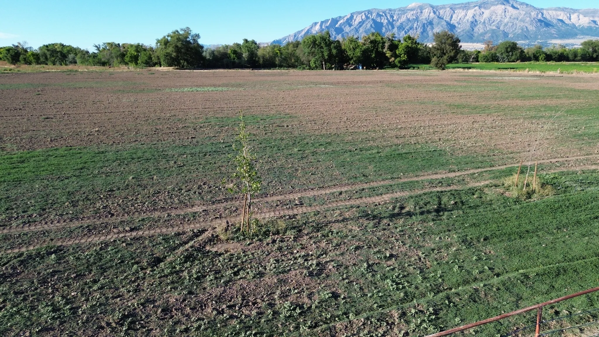 Expansive open land with varied vegetation, distant mountain backdrop, and scattered trees