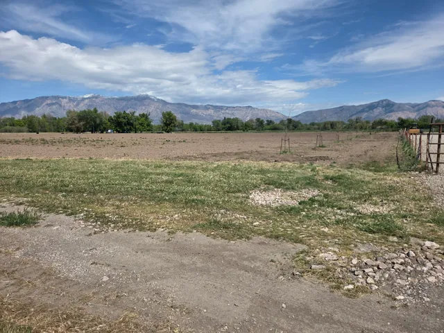 Expansive open lot with distant mountains and established trees