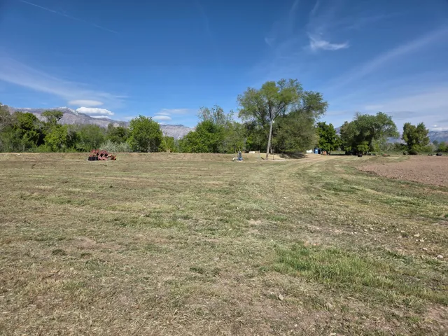 Expansive undeveloped lot with natural ground cover, mature trees, and mountainous background scenery
