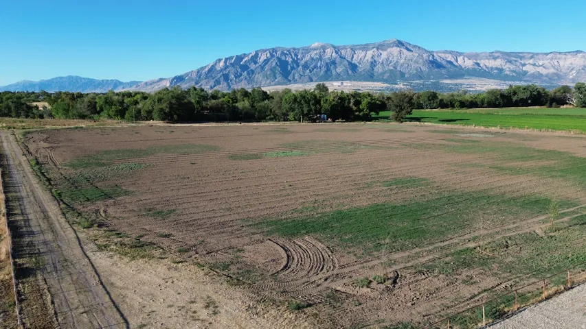 Expansive land parcel with partial ground cover and a natural boundary of mature trees